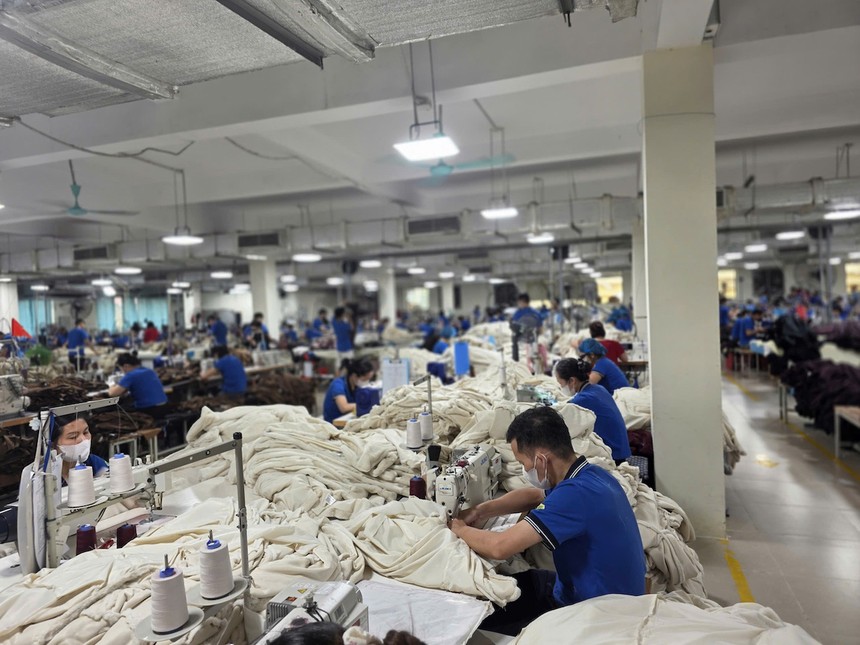 Doanh nghiệp dệt may cần kiểm soát hóa chất PFAS trong hàng hóa xuất khẩu sang EU.