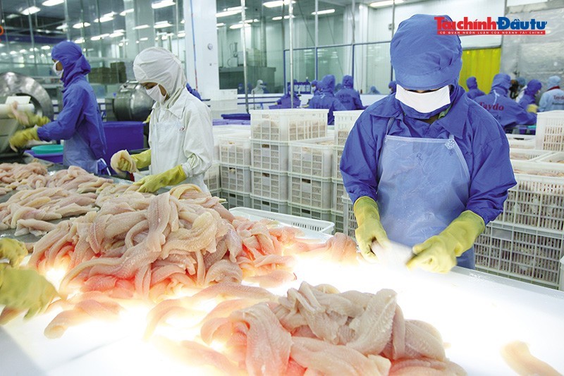6 tháng đầu năm nay, kim ngạch xuất khẩu thủy ước đạt khoảng 5,7 tỷ USD, tăng khoảng 11% so với cùng kỳ năm trước. Ảnh: Lê Toàn