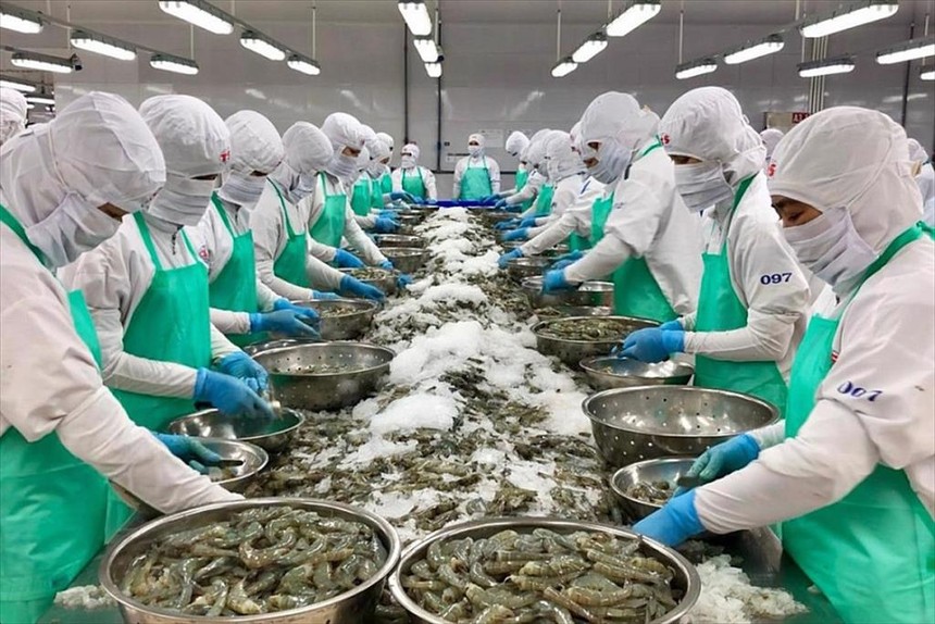 Xuất khẩu thủy sản sang khu vực thị trường EFTA không dễ để tăng sản lượng ngay lập tức. 