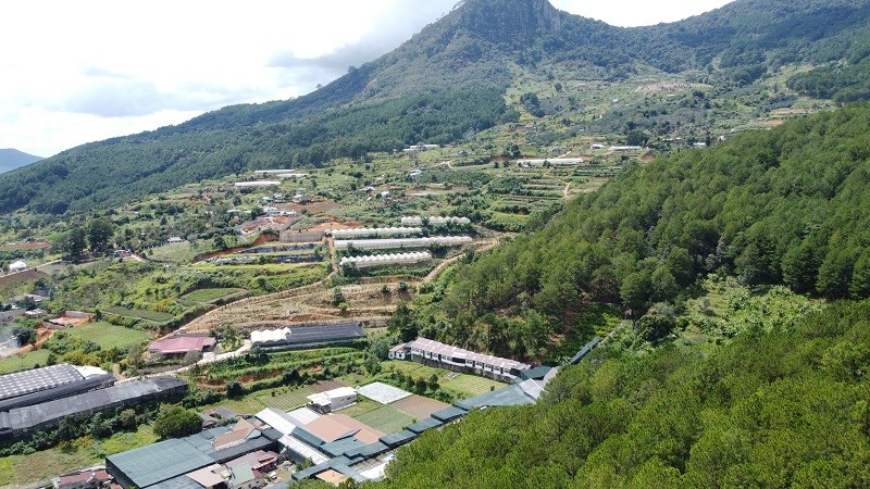 Theo Sở Nông nghiệp và Môi trường tỉnh Lâm Đồng, trường hợp đất bị cấp chồng lấn hoặc cấp sai vị trí thì thực hiện thu hồi, cấp đổi hoặc cấp lại theo đúng trình tự, thủ tục và thẩm quyền. Ảnh: Linh Đan 