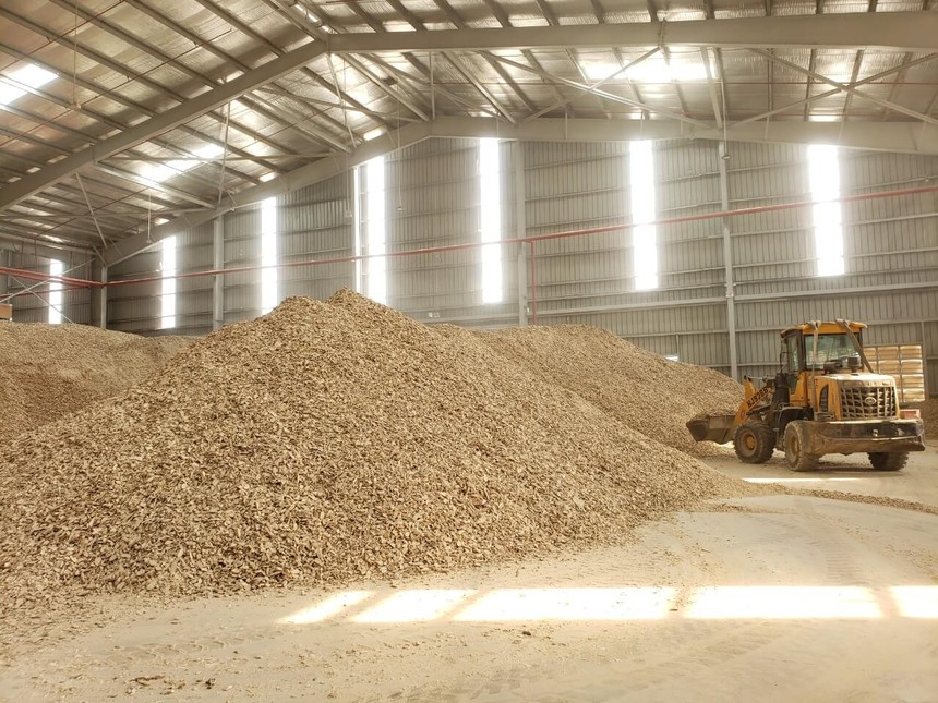 Sắn lát trong kho chờ xuất khẩu. Ảnh: ĐVCC.