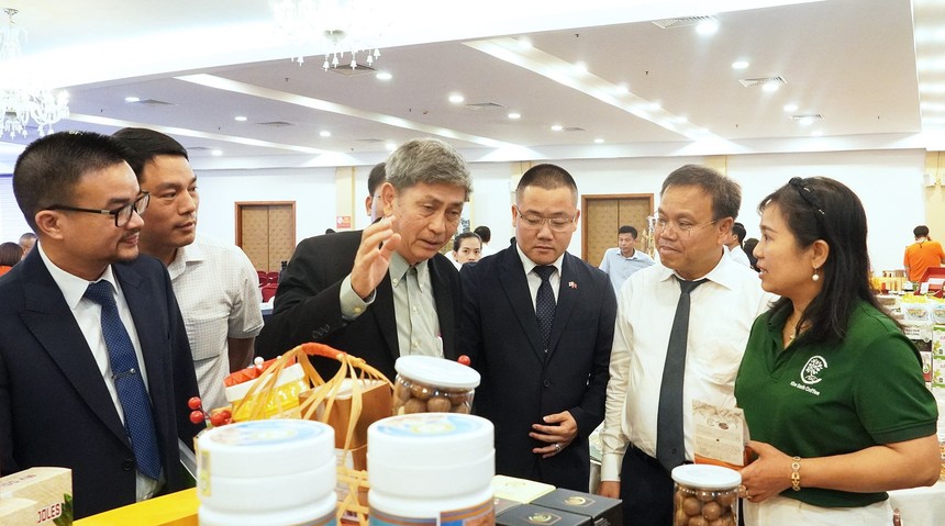 Quảng Trị đang tăng cường hợp tác với các địa phương Nhật Bản trên nhiều lĩnh vực. Ảnh: Trường Nhật