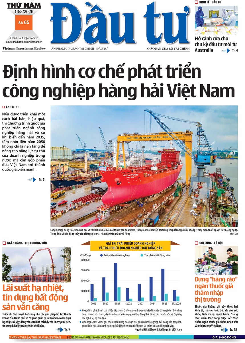 Báo Đầu tư số 65