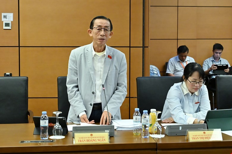 Đại biểu Trần Hoàng Ngân phát biểu tại tổ - Ảnh: QH.