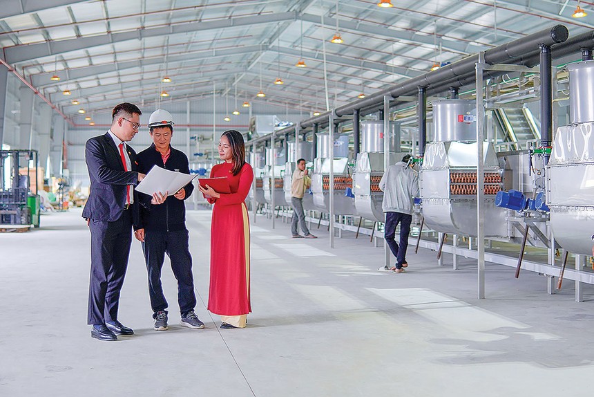 Từ tháng 8/2026, Agribank triển khai chương trình tín dụng ưu đãi quy mô 70.000 tỷ đồng dành cho SME, cá nhân và hộ kinh doanh