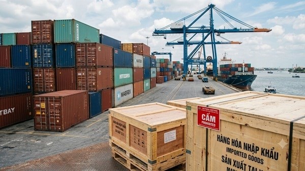 Việt Nam nghiêm cấm mọi hình thức lao động cưỡng bức, tuân thủ nghiêm túc các quy định của Tổ chức Lao động Quốc tế (ILO)...