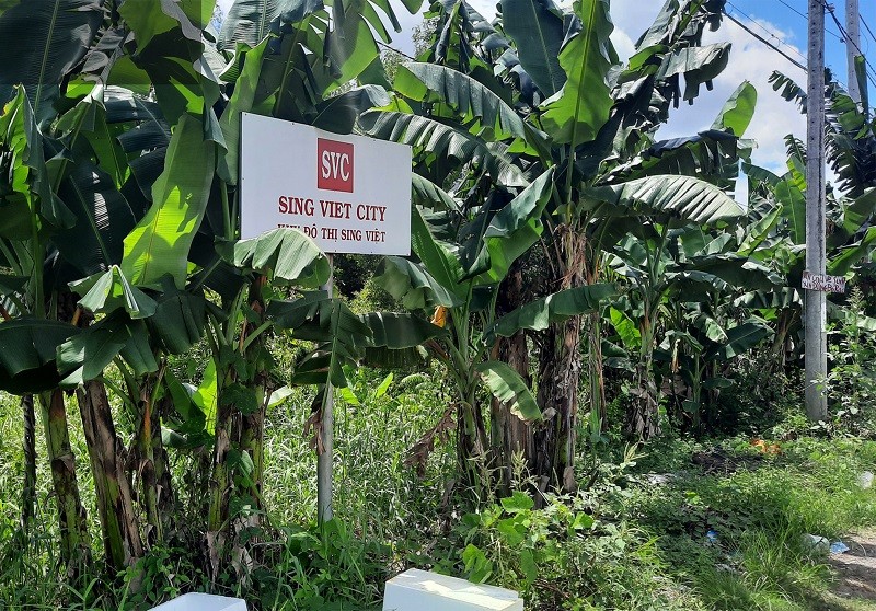 Khu đô thị Sing - Việt quy hoạch treo đến nay đã hơn 26 năm 