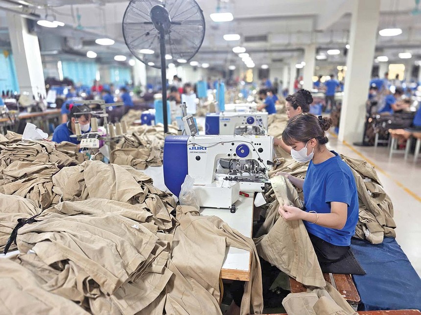 Các yêu cầu về lao động, môi trường và truy xuất nguồn gốc ngày càng trở thành điều kiện quan trọng đối với hàng hóa xuất khẩu Việt Nam
