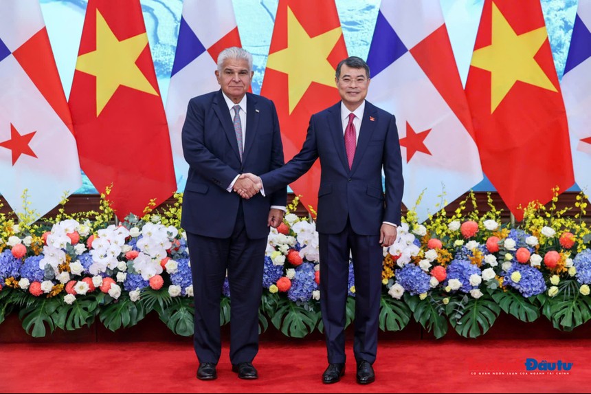 Thủ tướng Lê Minh Hưng hội kiến Tổng thống Panama José Raúl Mulino - Ảnh: Đức Thanh