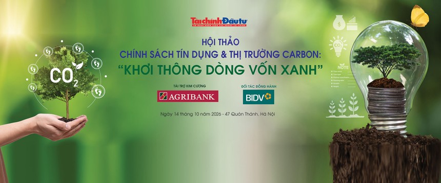 Thị trường carbon: Từ giá trị giảm phát thải đến dòng vốn xanh