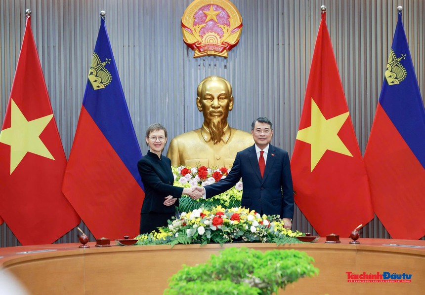 Thủ tướng Chính phủ Lê Minh Hưng hội đàm với Thủ tướng Liechtenstein.