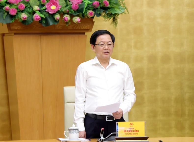 Phó Thủ tướng Hồ Quốc Dũng phát biểu chỉ đạo hội nghị - Ảnh: chinhphu.vn