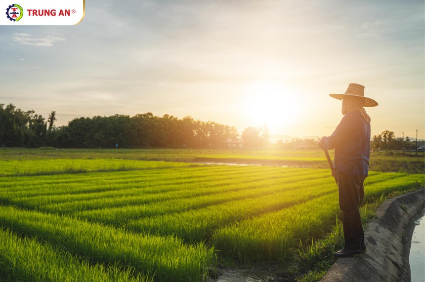 Công nghệ cao Trung An (TAR): Ước lãi quý IV/2021 đạt 45 tỷ đồng, cao nhất trong lịch sử hoạt động