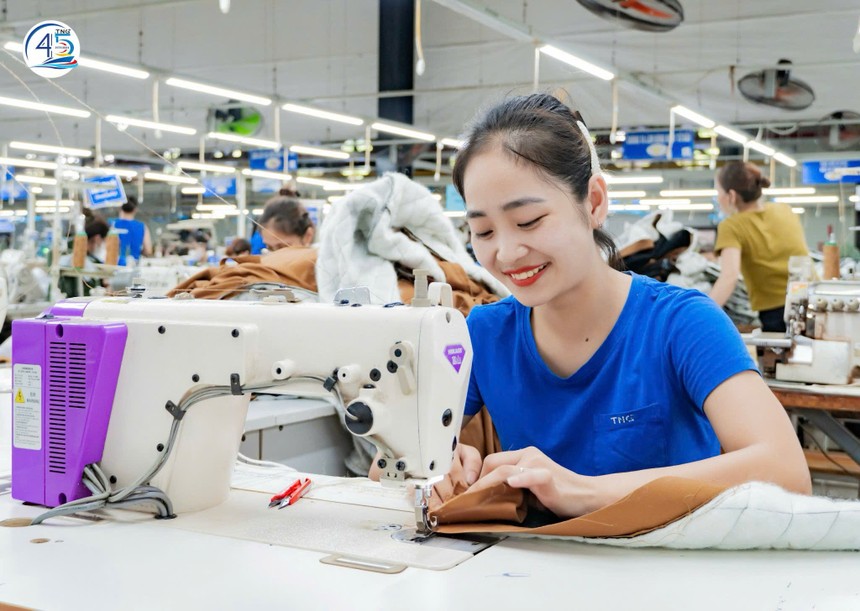 TNG giải trình lợi nhuận quý IV/2025 tăng 50% so với cùng kỳ 