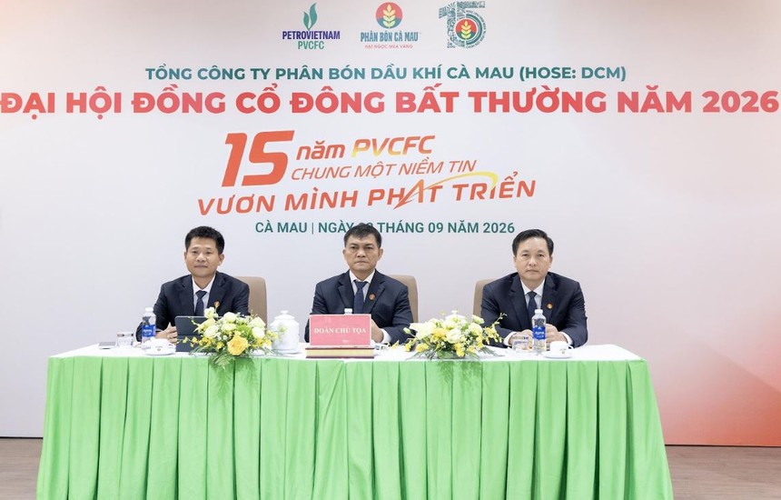 PVCFC (DCM): Lợi nhuận tăng 50% so với cùng kỳ 8 tháng đầu năm 