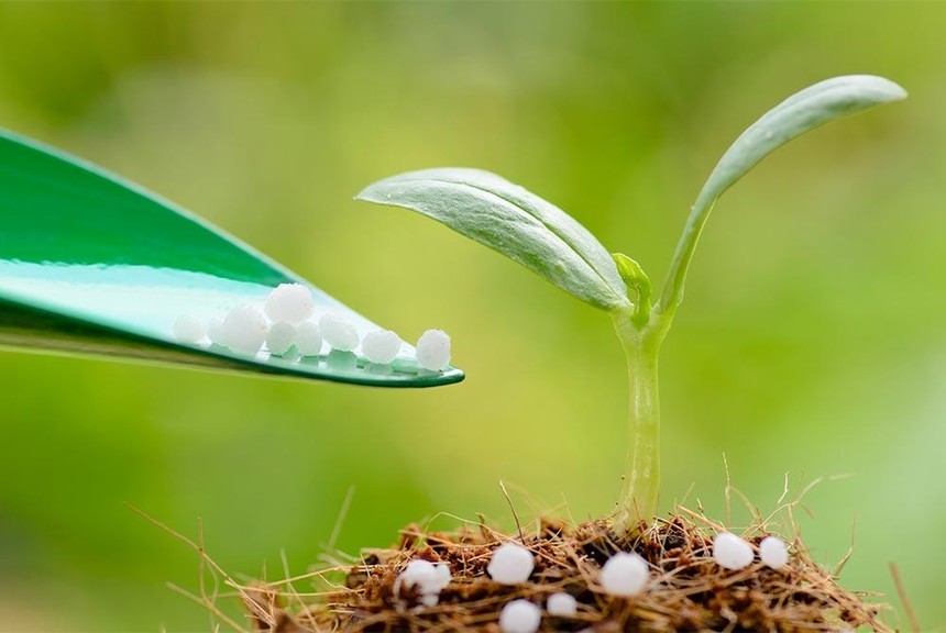 Bắt sóng cổ phiếu phân bón