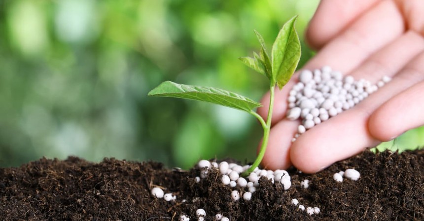 Cổ phiếu cần quan tâm ngày 17/3