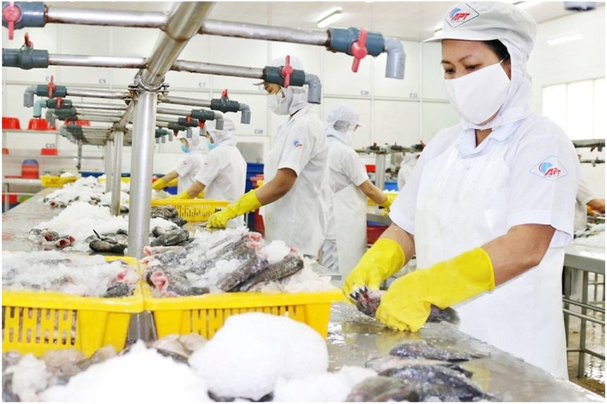 Thuỷ hải sản Sài Gòn (APT) gánh món nợ vàng 15 năm và bài toán chưa lời giải