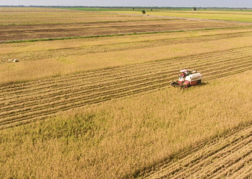 Trung An (TAR) kỳ vọng thoát diện bị hạn chế giao dịch, Tổng giám đốc đăng ký mua 1,2 triệu cổ phiếu