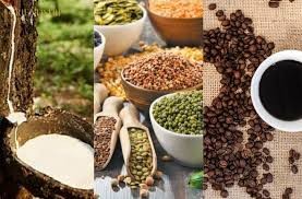 Thị trường hàng hóa thế giới tuần từ 16-23/8: Dầu tăng cao nhất 3 tuần, đậu tương lên cao nhất 2 tháng, cà phê chạm đỉnh gần 3 tháng