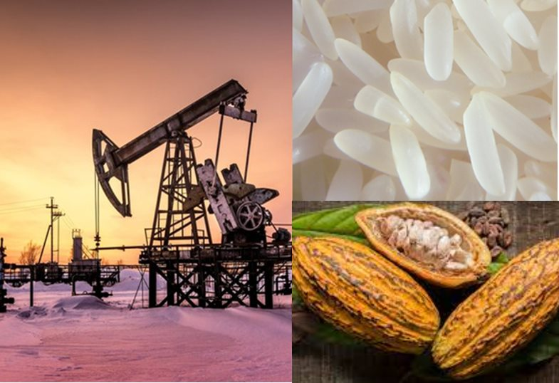 Thị trường hàng hóa thế giới tuần từ 8-15/11: Dầu thô phục hồi, ca cao và cà phê giảm mạnh