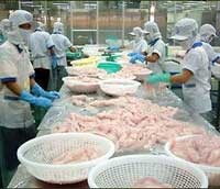 Các yếu tố về mức tăng trưởng cùng những rủi ro của ngành thủy sản được xem là cơ sở để các nhà đầu tư có sự nhìn nhận giá trị cổ phiếu của các doanh nghiệp trong ngành này