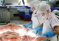 Nhều doanh nghiệp xuất khẩu thuỷ sản đã đối mặt với các vụ lừa đảo từ đối tác ngoại.