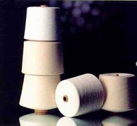 TH1 chào sàn vào ngày 11/11