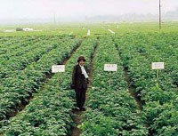 NSC sở hữu 35,45% cổ phần tại HSC