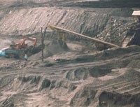 Quý I/2010, NBC đạt gần 23 tỷ đồng LNST