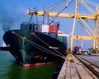 Kim ngạch xuất khẩu nửa đầu tháng 8 đã xuống mức thấp nhất so với cùng kỳ các tháng, kể từ tháng 5/2010 trở lại đây