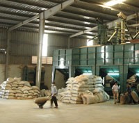 Tập đoàn Thái Hoà, nhà xuất khẩu cà phê Arabica số 1 Việt Nam 