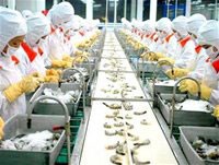 Bức tranh xuất khẩu tôm trong năm 2011 hứa hẹn nhiều gam màu sáng