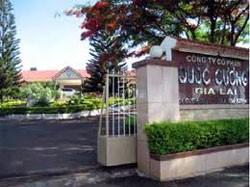 CapitaLand đầu tư vào hệ thống Quốc Cường Gia Lai