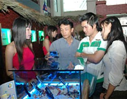FPT muốn khoác chiếc áo di động thay vì khoác chiếc áo bán buôn bán lẻ