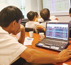 Tìm những mầm cây mới