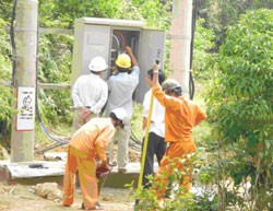 CHP chào bán gần 20 triệu cho 2 NĐT