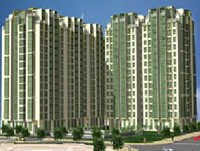 TKC và SFN: Thông báo mua cổ phiếu quỹ 