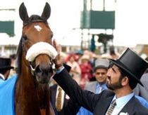 Đời sống vương giả của những hoàng thân giàu nhất thế giới