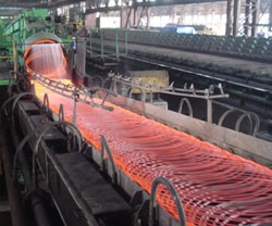 Tổng công ty Thép Việt Nam gần đây cũng mới được thông qua phương án cổ phần hóa