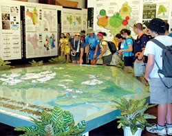 Đất Ba Vì rớt giá thảm hại