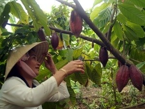 Ảnh minh họa. (Nguồn: TTXVN)