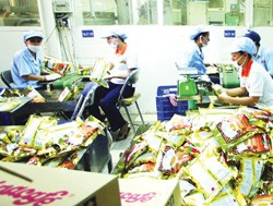 Giá Masan chào mua công khai cổ phiếu VCF là 80.000 đồng/CP - Ảnh: Lê Toàn