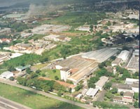 SZL bị phạt 400 triệu đồng