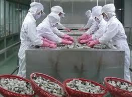 Minh Phú đạt kim nghạch xuất khẩu 264 triệu USD 