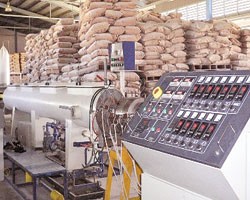 Quý III, NSP lỗ hơn 1 tỷ đồng