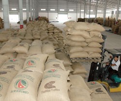 THV: Bị yêu cầu chào mua công khai, Chủ tịch dừng mua cổ phiếu