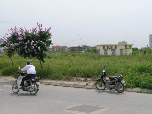 Một khu đất bỏ hoang trong thời gian dài tại khu đô thị mới Cầu Giấy