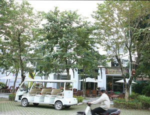 Xây dựng trường mầm non tại Ecopark 