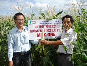 SSC: Vietnam Holding mua tiếp 200.000 cổ phiếu